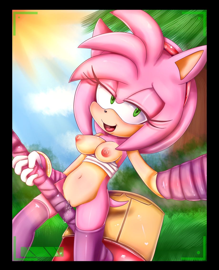 Amy Rose - Page 4 - HentaiRox.